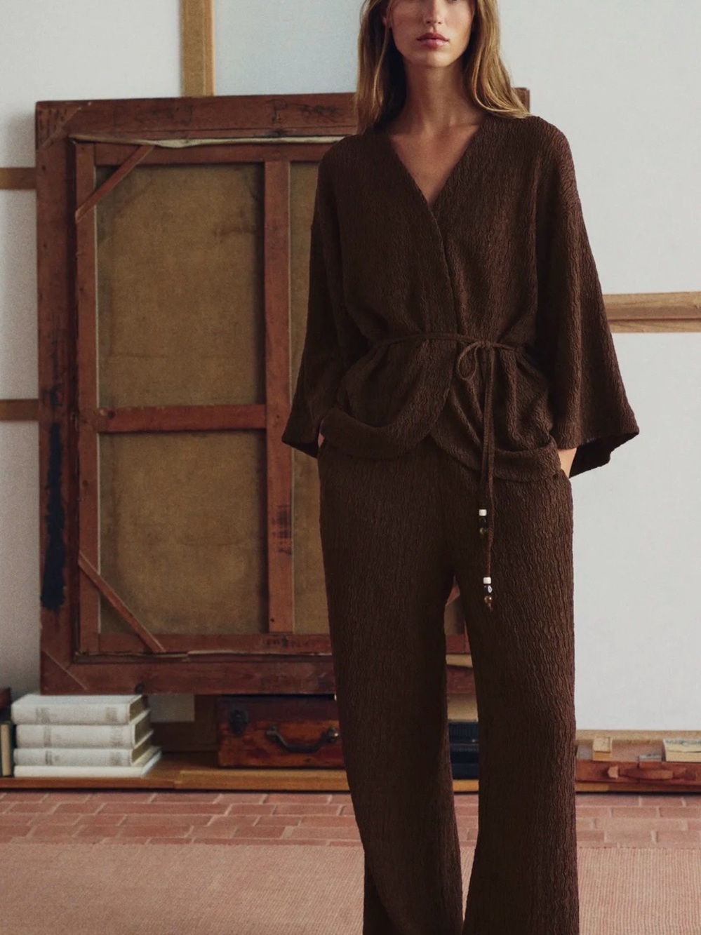 NWT Zara Brown Textured Wrinkle Look Pants 8372/103